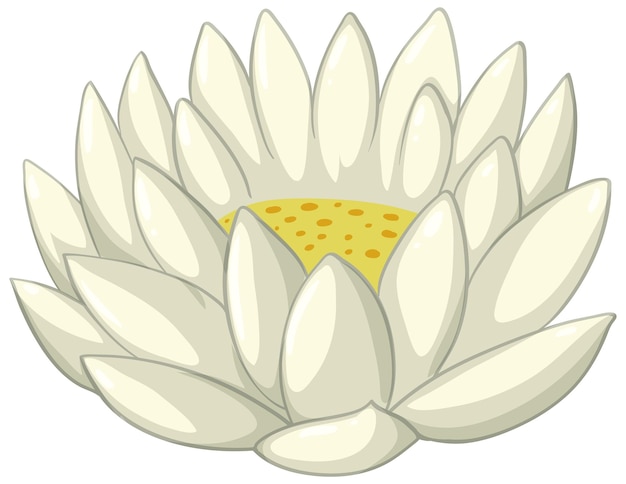 Weisse seerose-Vektoren und -Illustrationen zum kostenlosen Download