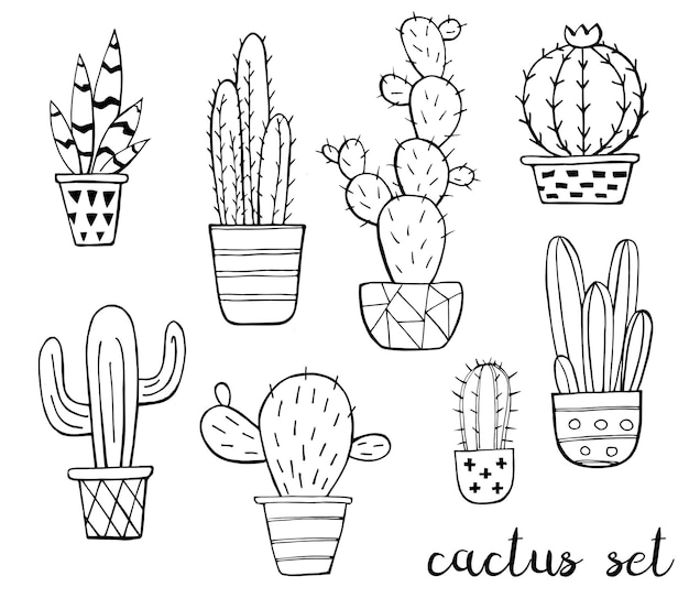 Vektor-set von niedlichen schwarz-weiß-skizze kaktus isoliert kaktus hand gezeichnete umrisse