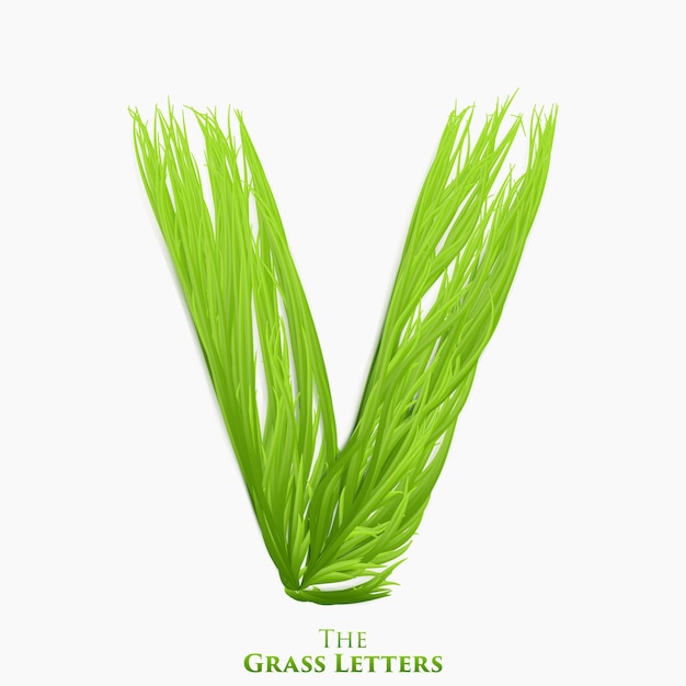 Vektorbuchstabe V des saftigen Grasalphabets. Grünes V-Symbol bestehend aus wachsendem Gras. Realistisches Alphabet von organischen Pflanzen. Frühlings- und Ökologiesatzillustration.