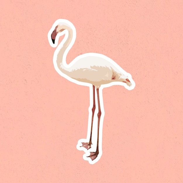 Vektorisierter weißer flamingo-vogelaufkleber mit weißem rand