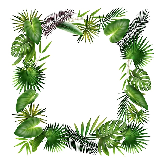 Vektorrahmen von grünen, violetten tropischen Pflanzenpalme, Farn, Bambus und Monstera-Blättern lokalisiert auf weißem Hintergrund