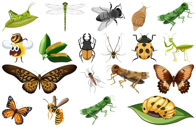 Kostenloser Vektor verschiedene arten von insektensammlungen