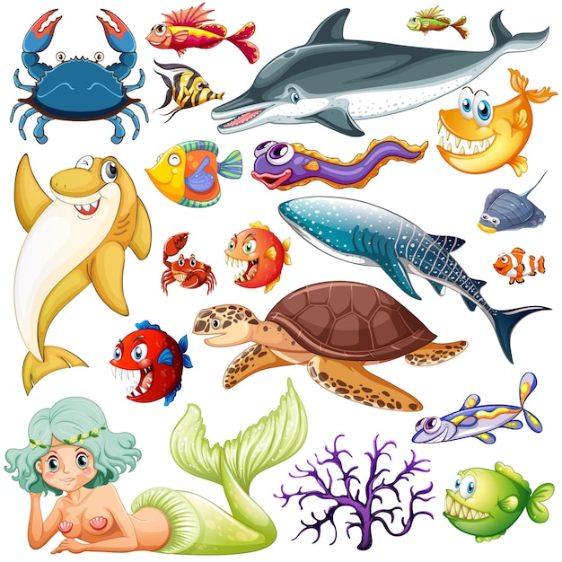 Verschiedene Arten von Meerestieren