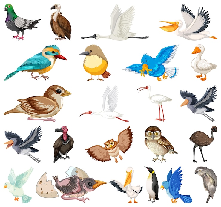 Kostenlose Vektor verschiedene arten von vogelsammlungen