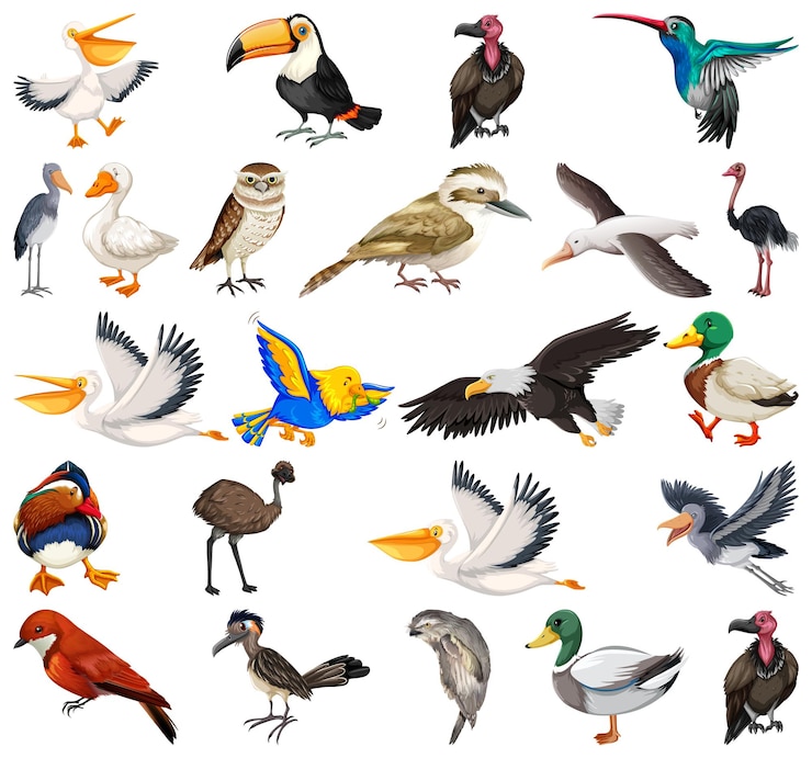 Kostenlose Vektor verschiedene arten von vogelsammlungen