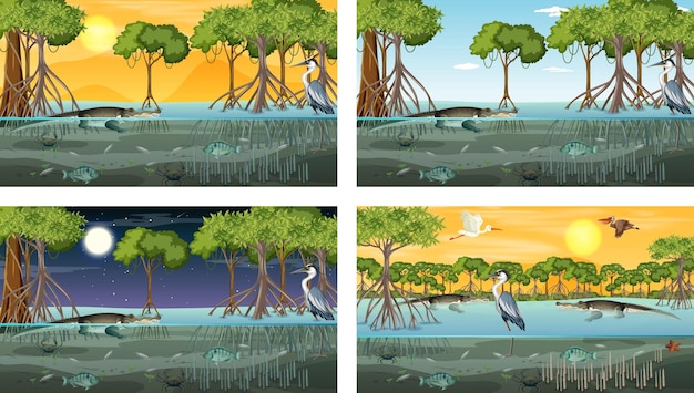 Kostenloser Vektor verschiedene mangrovenwaldlandschaftsszenen mit tieren und pflanzen