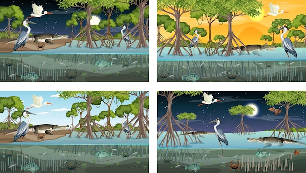 Kostenloser Vektor verschiedene mangrovenwaldlandschaftsszenen mit tieren und pflanzen