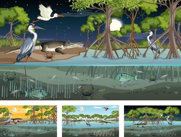 Verschiedene Mangrovenwaldlandschaftsszenen mit Tieren