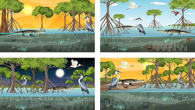 Kostenloser Vektor verschiedene mangrovenwaldlandschaftsszenen mit verschiedenen tieren