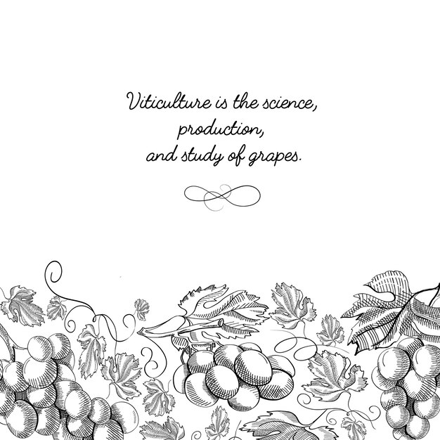 Vertikale Schriftrolle Ornament Traube folierte Grenze Hand gezeichnete Skizze Illustration des dekorativen Rahmens