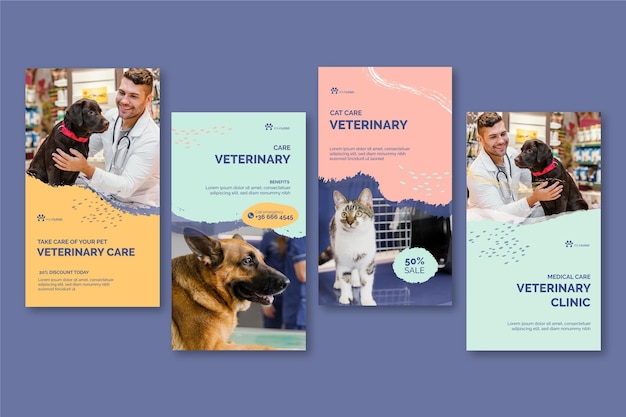 Kostenloser Vektor veterinär instagram geschichten