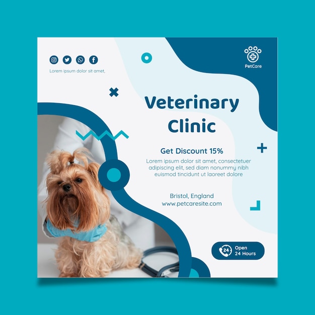 Kostenloser Vektor veterinär-quadrat-flyer-vorlage