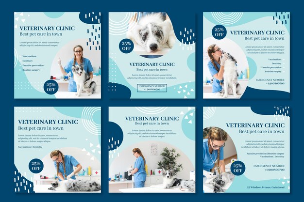 Veterinary Instagram Beiträge Vorlage