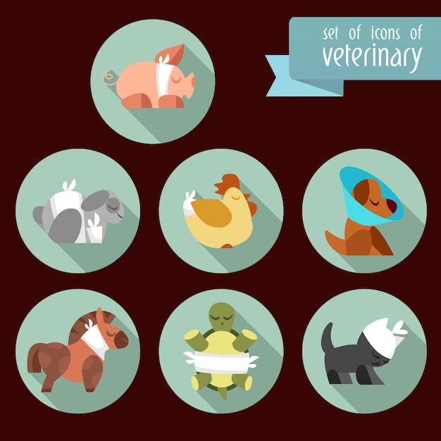 Veterinary symbole collectio