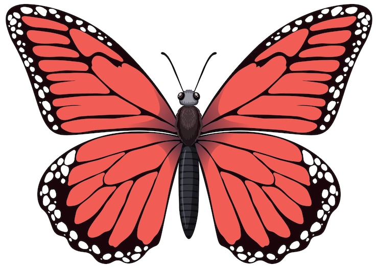 Kostenlose Vektor vibrante rote schmetterlingsvektorillustration