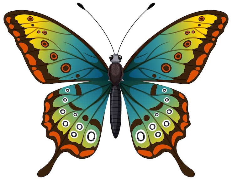 Kostenlose Vektor vibrante schmetterlingsvektor-illustration