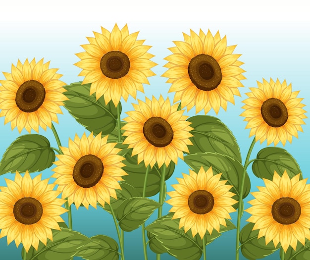 Vibrante Sonnenblumenfeld-Vektorillustration