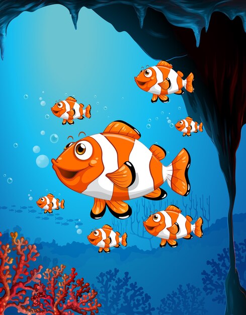 Bilder Fische Gratis Vektoren Fotos Und Psds