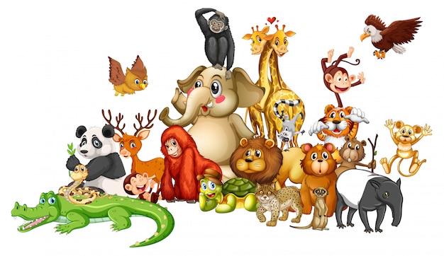 Viele Tiere auf weiß