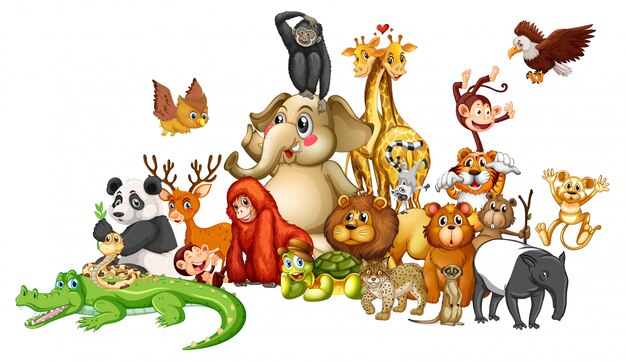 Viele Tiere auf weiß