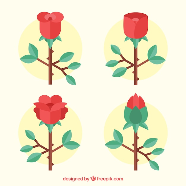 Vier hübsche rosen in flachem design