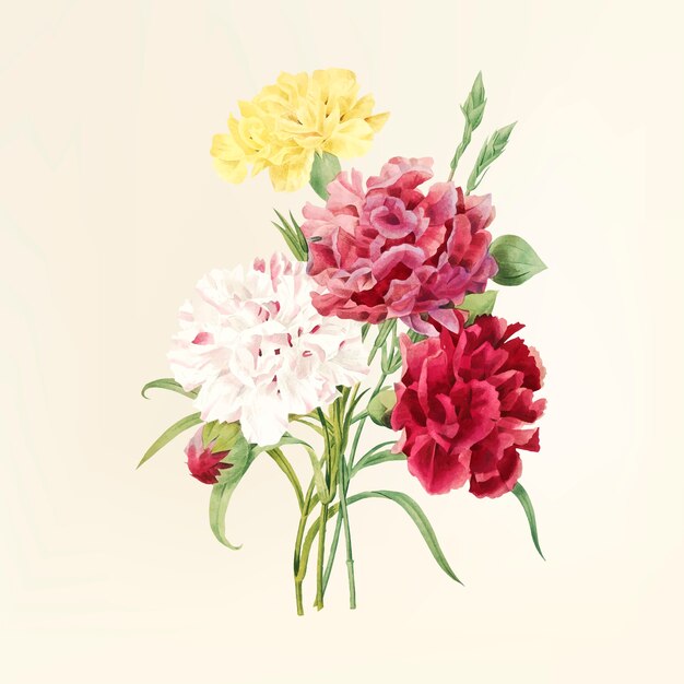 Vintage Blumenillustration