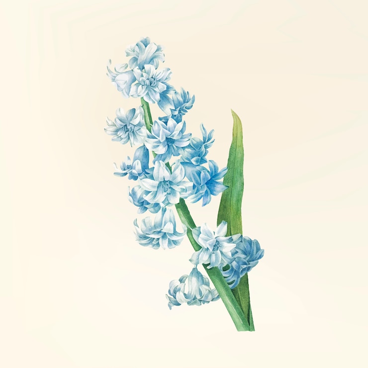 Kostenlose Vektor vintage-blumenillustration