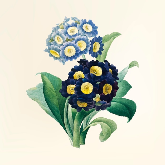 Kostenloser Vektor vintage blumenillustration