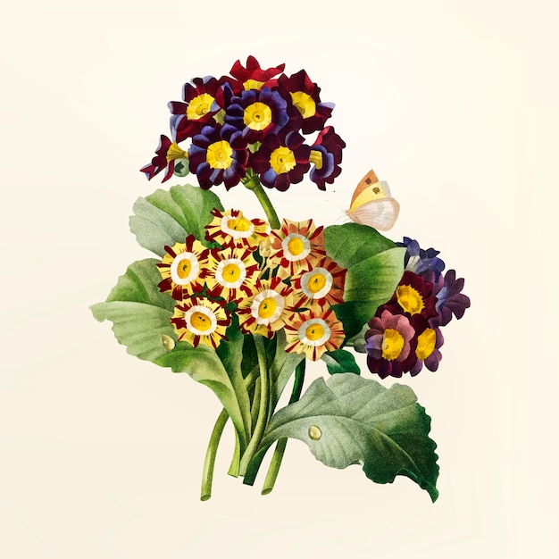 Kostenloser Vektor vintage blumenillustration