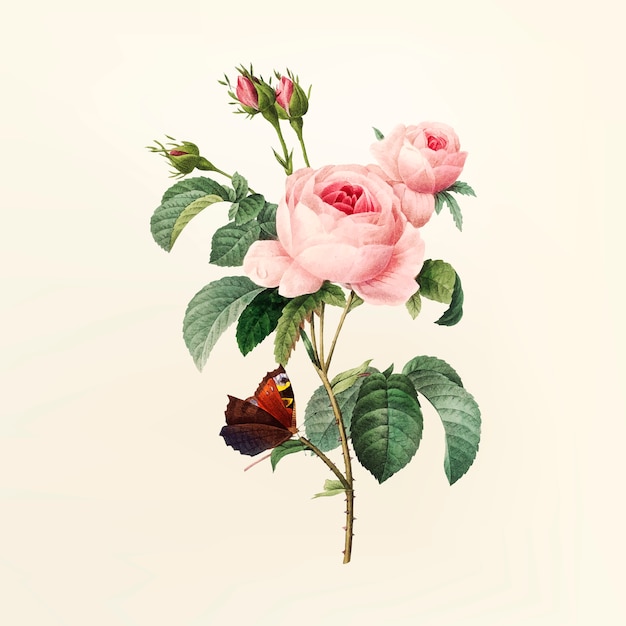 Vintage Blumenillustration