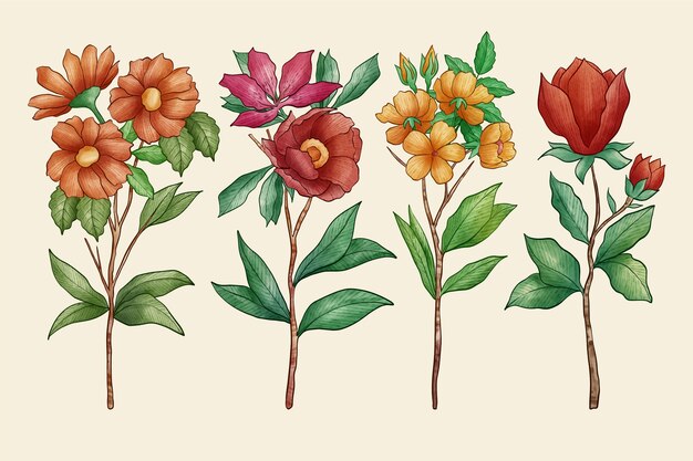 Vintage Botanik Blumensatz