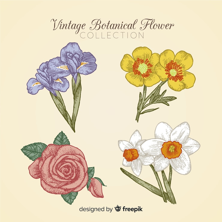 Kostenlose Vektor vintage botanische blumensammlung