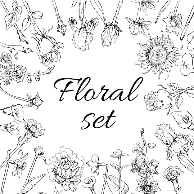 Vintage monochrome Blütenblüten Set