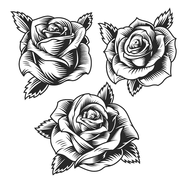 Vintage schöne rosenblumen gesetzt