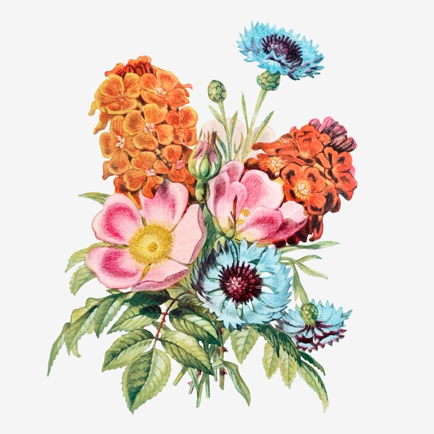 Vintage Sommerblumen Blumenstrauß Vektor