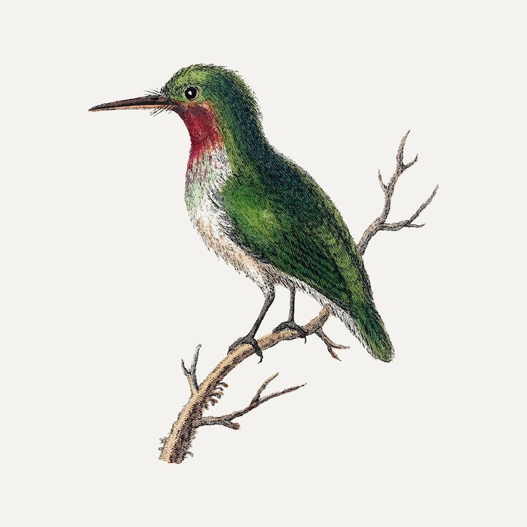 Kostenlose Vektor vintage vogelaufkleber, tierillustrationsvektor, remixed aus den kunstwerken von george edwards
