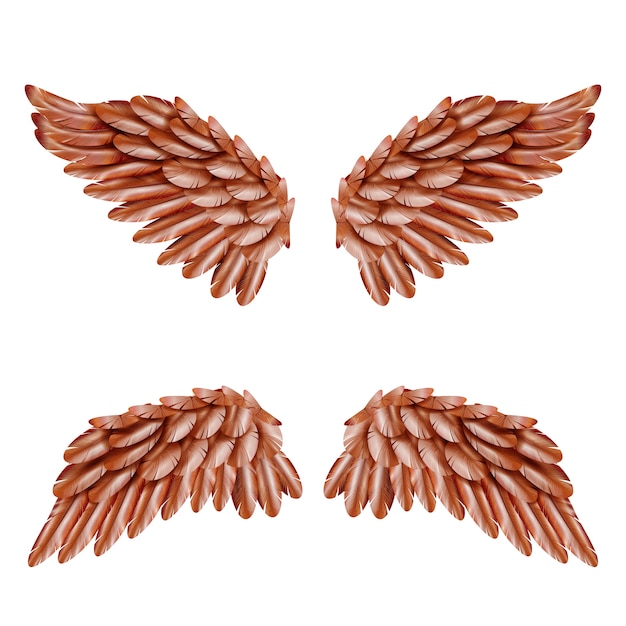 Vogelflügel Set