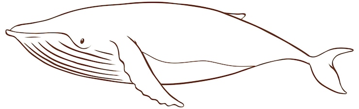 Kostenlose Vektor wal im einfachen doodle-stil auf weißem hintergrund