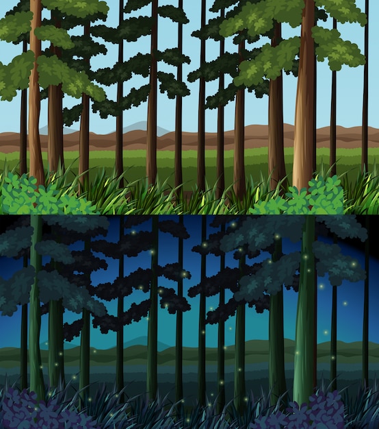 Waldszene tagsüber und nachts