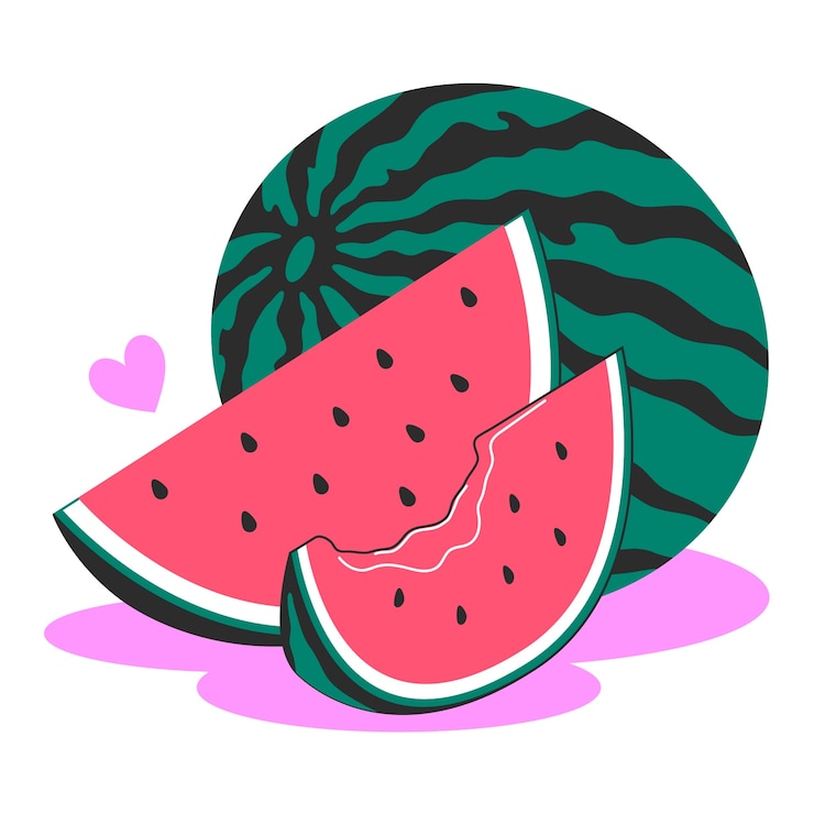 Kostenlose Vektor wassermelonenfrucht-konzeptillustration