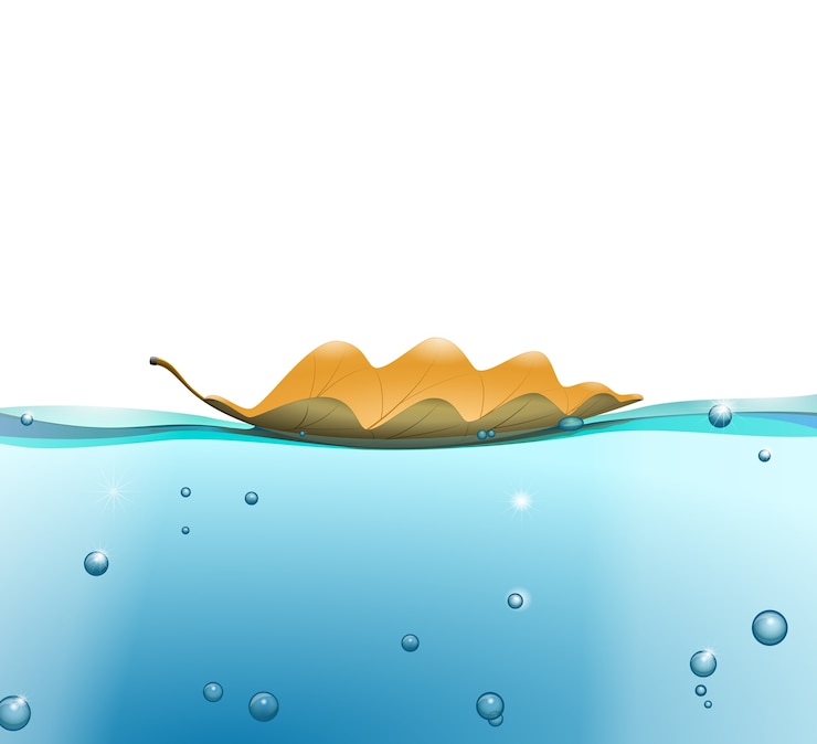 Kostenlose Vektor wasseroberfläche mit blatt
