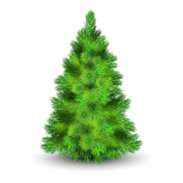 Weihnachtsbaum mit grünen Niederlassungen für die Verzierung der realistischen Vektorillustration des Hauses