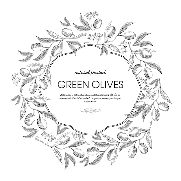 Kostenloser Vektor weiß gefärbter filigraner rahmen mit olivensträußen, stiel und eleganter hand gezeichneter skizzenillustration der kringel