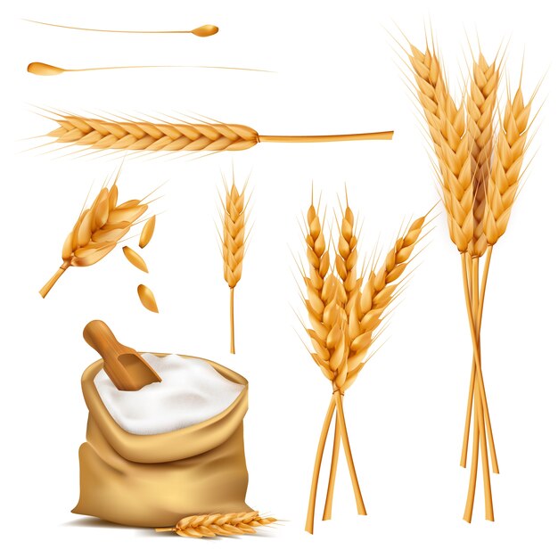 Weizen Ohren, Getreide und Mehl in Sack Vektor-Set