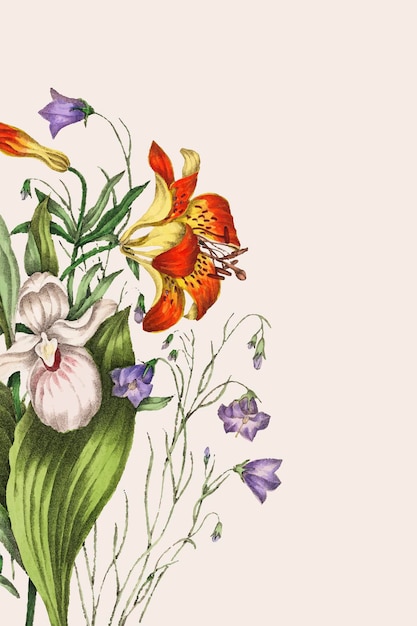 Wild Orange Red Lily, Harebell und Showy Ladys Slipper Blumenstrauß Vektor