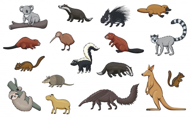 Sudamerikanisches Tiervektor Karikaturdesign Premium Vektor