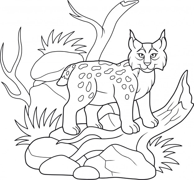 Luchs Tiermuster Cartoon Kostenlose Vektor