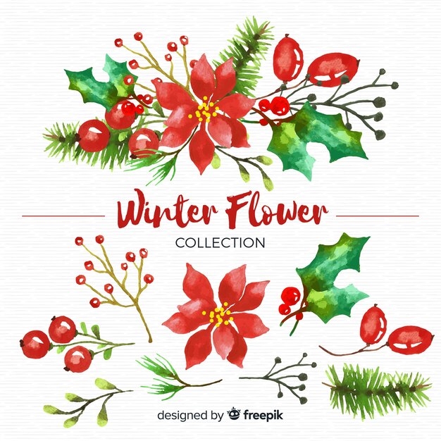 Winter Blumen Kollektion Kostenlose Vektor