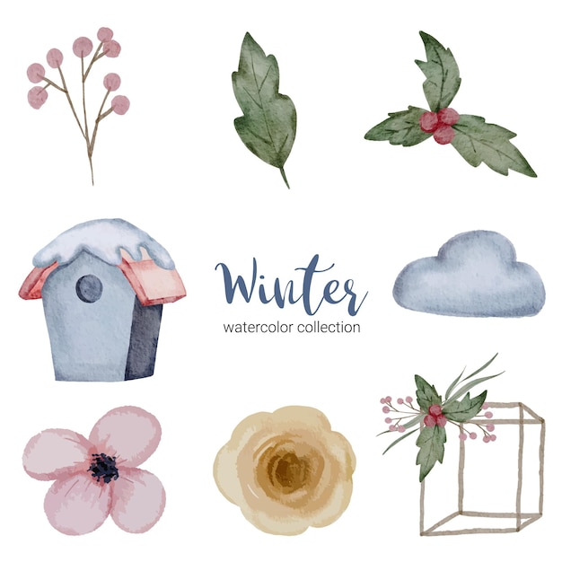 Winteraquarellsammlung mit zweigen, blättern und blumen