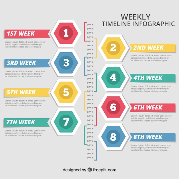 Wöchentliche timeline infografik mit verschiedenen farben